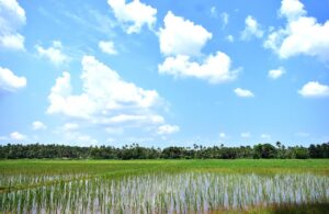 solo blissを体験するためのおすすめの方法は？