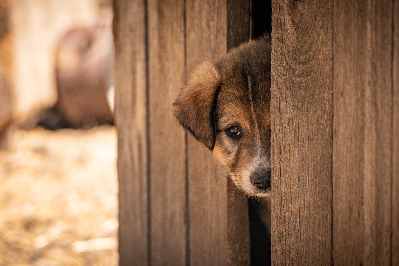 一人旅でおすすめの国内旅行先はどこ？