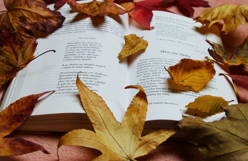 ひとり旅女子にぴったりな本が読める宿は？