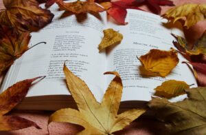 ひとり旅女子にぴったりな本が読める宿は？