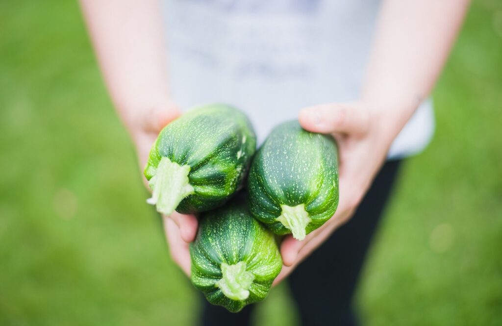 ひとり旅女子におすすめ！一人で楽しめる野菜中心の宿はどこ？